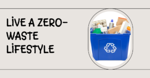 Zero waste living in UAE